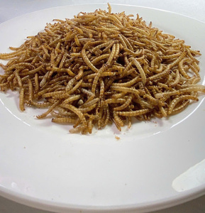 100% naturel animal de compagnie oiseau alimentation haute protéine lyophilisé jaune vers de farine qualité supérieure du Vietnam - Product Image 6