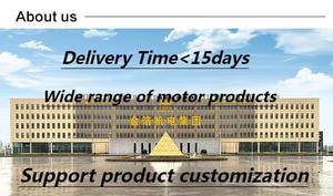 Elektromotor Zds Conische Rotor Remmotor Twee-Traps Moeder En Kind Motor 2.2/13kw Klasse 6 Chinese Fabrikant - Product Image 5