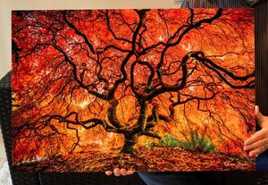 Impression Offre Spéciale de <span class=keywords><strong>photo</strong></span> de transfert thermique <span class=keywords><strong>sur</strong></span> le panneau en <span class=keywords><strong>aluminium</strong></span> de sublimation de <span class=keywords><strong>photo</strong></span> en métal HD en <span class=keywords><strong>aluminium</strong></span> pour la décoration - Product Image 3