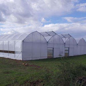 Invernadero de Plástico Multiusos de Alta Calidad y Eficiencia Energética para Producción Agrícola Durante Todo el Año - Product Image 4