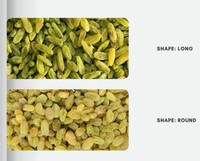 Premium Indiase Groene Rozijnen - Apex Merk Groothandel Bulk Uit Rajasthan Oorsprong 12 Maanden Houdbaarheid Jaipur
