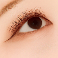 Extensions de cils en grappe mat effet volume, bande complète, 3D magnétiques, noir naturel, faits main, personnalisables, éventail facile, plumes individuelles