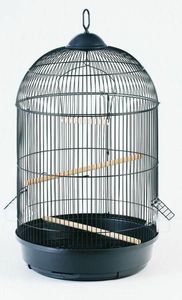 Top vente Unique classique Look oiseaux Cage pour animaux de compagnie saison des fêtes article de cadeau de haute qualité prix direct usine décor à la maison - Product Image 6