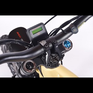 Bicicleta eléctrica de enduro todoterreno con ruedas delanteras de 21 pulgadas y traseras de 19 pulgadas - Product Image 2