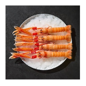 กุ้งล็อบสเตอร์แช่แข็ง - ผู้จัดจำหน่ายกุ้งล็อบสเตอร์แบบขายส่งจำนวนมาก - Product Image 2