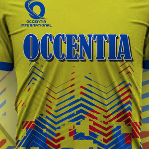 Maillots de football personnalisés en polyester respirant léger à manches courtes, ensembles d'uniformes de sport complets - Product Image 6