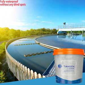 Sigillante Ecologico C11 Durevole con Resistenza al Percolamento di 1.2MPA Impermeabilizzazione Completa per Applicazioni su Pareti e Piastrelle - Product Image 1