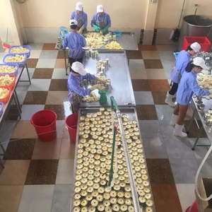 Ananas en conserve du Vietnam de la plus haute qualité meilleur prix tranches de variété directe fruits d'ananas doux broyés en morceaux/Mme Lucinda - Product Image 5