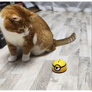 A163ser Giocattolo Intelligente per l'Attività del Bambino con Palestrina - Product Image 4