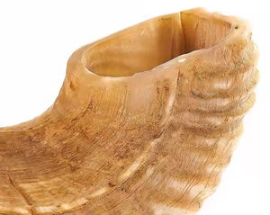 Corne de Shofar de Mouton de Bélier Naturel 100% de Taille Moyenne Inodore Moitié Poli pour Style Animal par Crescent Crafts - Product Image 2