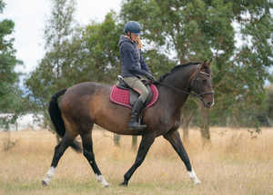 Euro Cavall Industries - Tapis de selle de dressage en polyester et coton écologiques avec doublure en bambou, couleur et taille personnalisables - Product Image 4