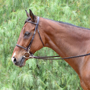 Brida de caballo ecuestre OEM de alta calidad en Tipo de rienda de cuero alemán para montar logotipo personalizado - Product Image 1