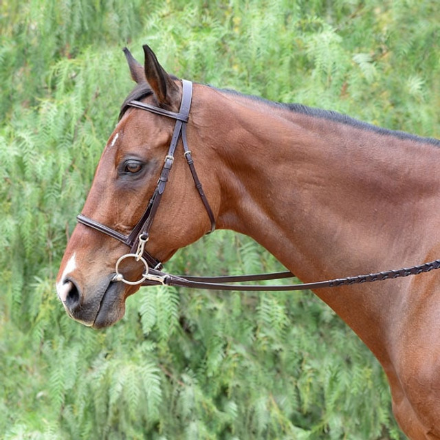 Stock D'Équitation Shires – Motifs Non Liés – Produits Équestres Pour Cheval Et Poney