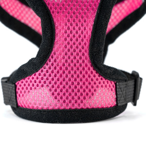 Arnés y Correa para Mascotas, Transpirable, para Perros Pequeños y Grandes, Productos para Exteriores, Venta Caliente del Fabricante - Product Image 4