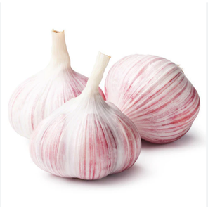 Ajo Fresco Orgánico Crudo Natural 10Kg/Caja 20kg/Bolsa de Malla 25kg/Bolsa Alta Calidad 6-12 Meses de Duración Francia Alto Contenido de Proteínas - Product Image 3