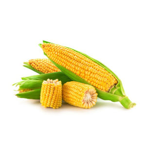 Granos de maíz amarillo de alta calidad premium, maíz de alimentación para animales de CA;9 no glutinoso 50 Kg seco 1 Cm AD - Product Image 4