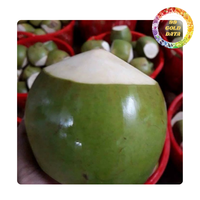 Coco fresco joven con paja y tapa | Embalaje OEM, agua de coco natural lista para beber