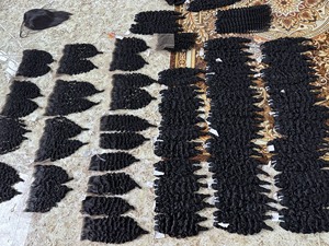 Paquets de cheveux bouclés birmans vietnamiens 100% paquets de cheveux humains bouclés birmans vierges non transformés naturels - Product Image 4