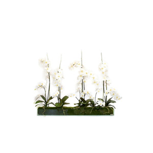 VPB4436 - Jardinera rectangular de vidrio - 4 x 4 x 36 - Product Image 2
