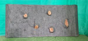 Panel de pared de fibra decorativa FRP con acabado de madera para revestimiento interior y exterior para festividades de Diwali - Product Image 4