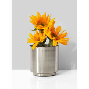 Modern <b>Iron</b> Metal <b>Lightweight</b> Planter Pot Decorative Container for Home Hotel Restaurant Table Decor Wholesale - Product Image 3