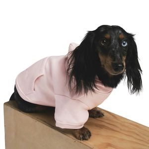 Venta al por Mayor de Fábrica, Ropa de Invierno para Perros de Estilo Moderno, Cómodas Sudaderas y Abrigos de Forro Polar de Algodón para Perros con Patrón Sólido, Ecológicos - Product Image 1