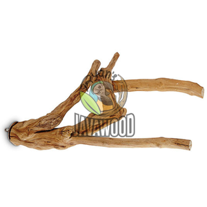 Perchoirs à oiseaux en L durable et solide pour les perroquets, avec un design moderne parfait et un matériau entièrement en bois. - Product Image 4