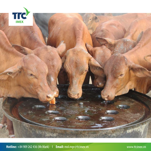 Premium Brix 78 + Aditivos para piensos Vietnam e Indonesia Melaza de caña para destilerías de ron Producción de etanol Alimentos para animales - Product Image 3