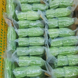 CALABAZA AMARGA CONGELADA AL POR MAYOR | RICA EN NUTRIENTES | SUMINISTRO A GRANEL - Product Image 3