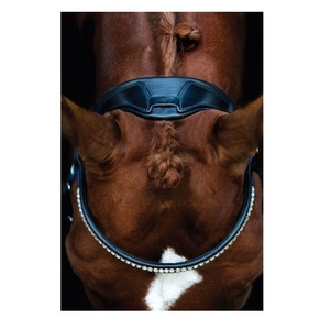 La brida de cuero más vendida combina funcionalidad con la comodidad del caballo y una sola pieza en forma de estilo deportivo - Product Image 1