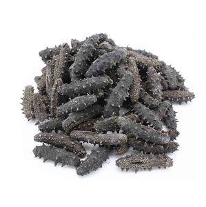 Concombre de mer séché (fruits de mer) de qualité supérieure, prix promotionnel, provenant des États-Unis - Product Image 4