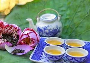 NATURAL DRIED LOTUS FLOWER FOR <b>TEA</b> <b>BREWING</b> PLANT BASED HERBAL INFUSION IMMUNE SYSTEM SUPPORT - Product Image 5