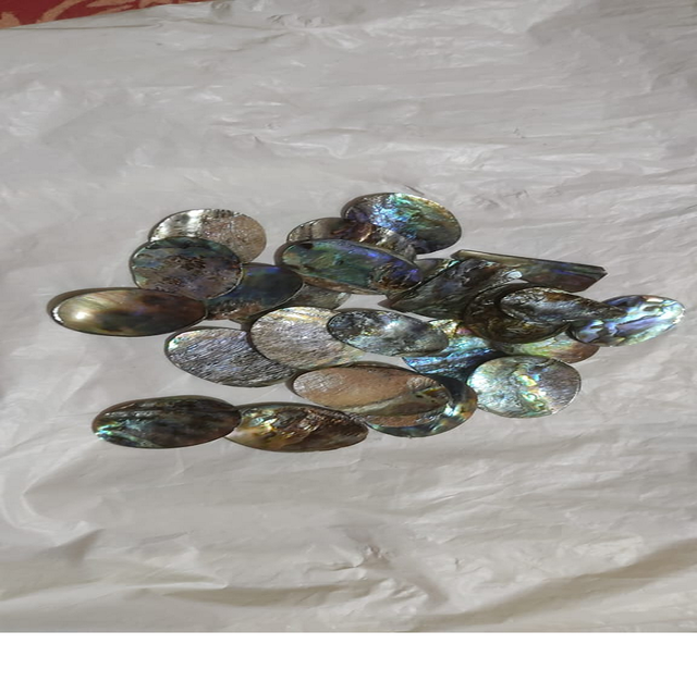 Custom Made Very Attractive Mother of Pearl Abalone Shell Discs in Size 4 cm Ideal for Bead Stores and Jewelry Designers