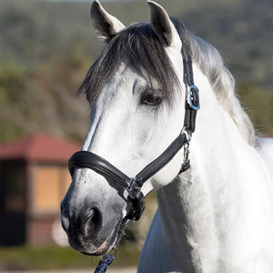 Haltères pour chevaux avec logo personnalisé, en cuir souple et réglable, vente en gros de produits équestres, quincaillerie de connexion robuste - Product Image 5
