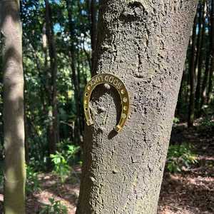 Fournisseur vente en gros de fers à cheval à bas prix outil d'équitation kit de fer à cheval pour fer à cheval palmiers fer alliage d'aluminium - Product Image 5