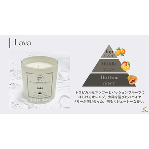 ขี้ผึ้งถั่วเหลืองทำด้วยมือสำหรับตกแต่งบ้าน - Product Image 2