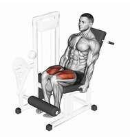 Machine d'extension des jambes assise pour équipement de salle de sport commercial, machine d'extension des jambes pour clubs d'exercice, hôtels, salles de sport, Hamer Strength
