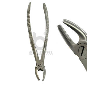 Fórceps de extracción Dental de alta calidad, extracción de dientes anteriores, fórceps de extracción Dental Anterior profesional de acero inoxidable - Product Image 5