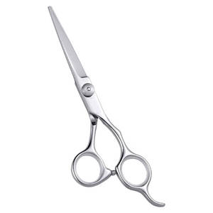 Ciseaux de coiffeur professionnels ciseaux de coupe de cheveux en acier inoxydable Salon de coiffure ciseaux tranchants outils de salon de coiffure durables - Product Image 1