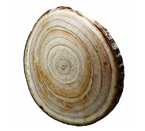 Tranches et ronds de bois pour l'artisanat Achetez maintenant! 2 Dessous de verre en bois personnalisés avec os et incrustation en laiton fabriqués à la main en Inde - Product Image 1