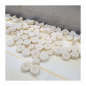 Tranche de banane congelée d'origine du Vietnam de qualité IQF pour la décoration de boissons et de desserts et le marché international - Product Image 5
