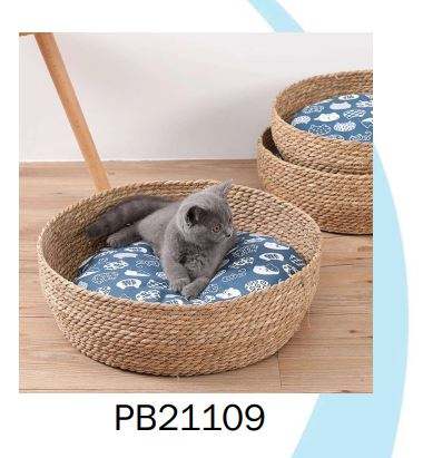 สีธรรมชาติ