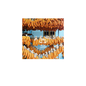 Auténtica decoración de maíz seco, conservado naturalmente para mantener la belleza rústica, perfecto para arreglos acogedores de temporada. - Product Image 1