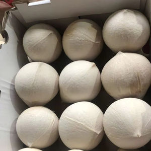 Coco joven fresco de Vietnam para refrescos de spa de lujo, menús de bebidas para retiros de bienestar con aroma y sabor tropical natural. - Product Image 6