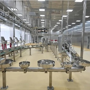 Machine d'abattage de moutons à haute efficacité 60 têtes par heure Ligne de traitement industrielle en abattoir halal automatisée - Product Image 6