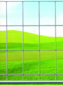 Rete per Recinzioni Elettrozincate Maglia 50x75 mm Filo 1,70 mm - Altezza 200 cm - Product Image 1