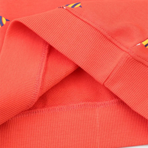 Sudaderas de Cuello Redondo de Felpa 100% Algodón con Bordado e Impresión Personalizados para Niños - Invierno, Logotipo Personalizado al por Mayor, Diseño Transpirable - Product Image 6