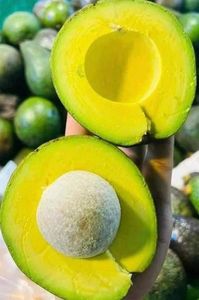 Aguacates orgánicos frescos Hass Larga vida útil Atmósfera controlada Suministro a granel con envío rápido - Product Image 5