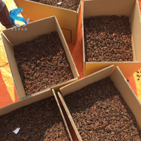 Vente en gros d'anis étoilé 100% d'anis naturel anis étoilé séché du Vietnam