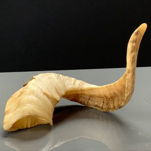 Real <b>Sheep</b> Horn Natural Polished Horns for Decoration & Craft High Quality - Product Image 1